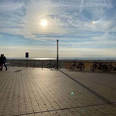 Definitief Gesloten * Ostend