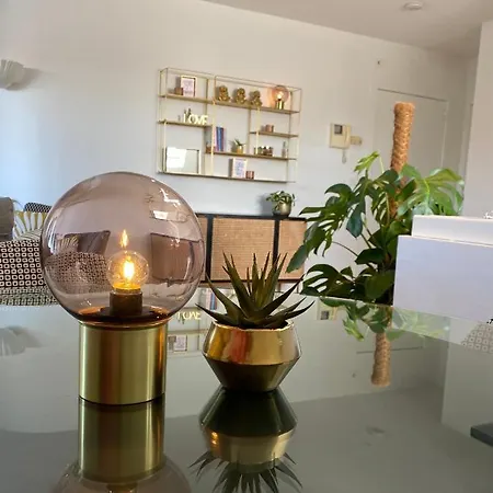 Definitief Gesloten Apartment Ostend