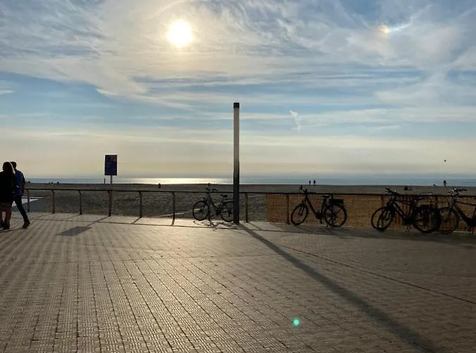 Definitief Gesloten * オステンド