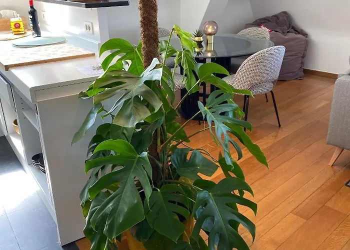 Definitief Gesloten アパート *