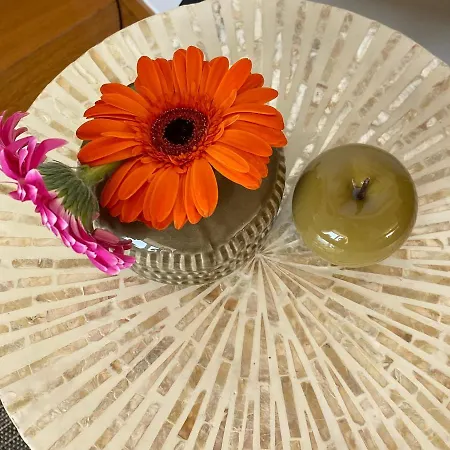 Definitief Gesloten 公寓 奥斯滕德