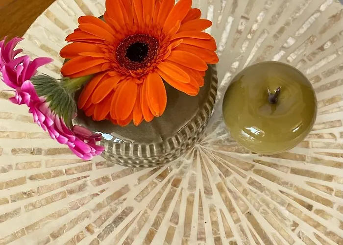 Definitief Gesloten 公寓 奥斯滕德